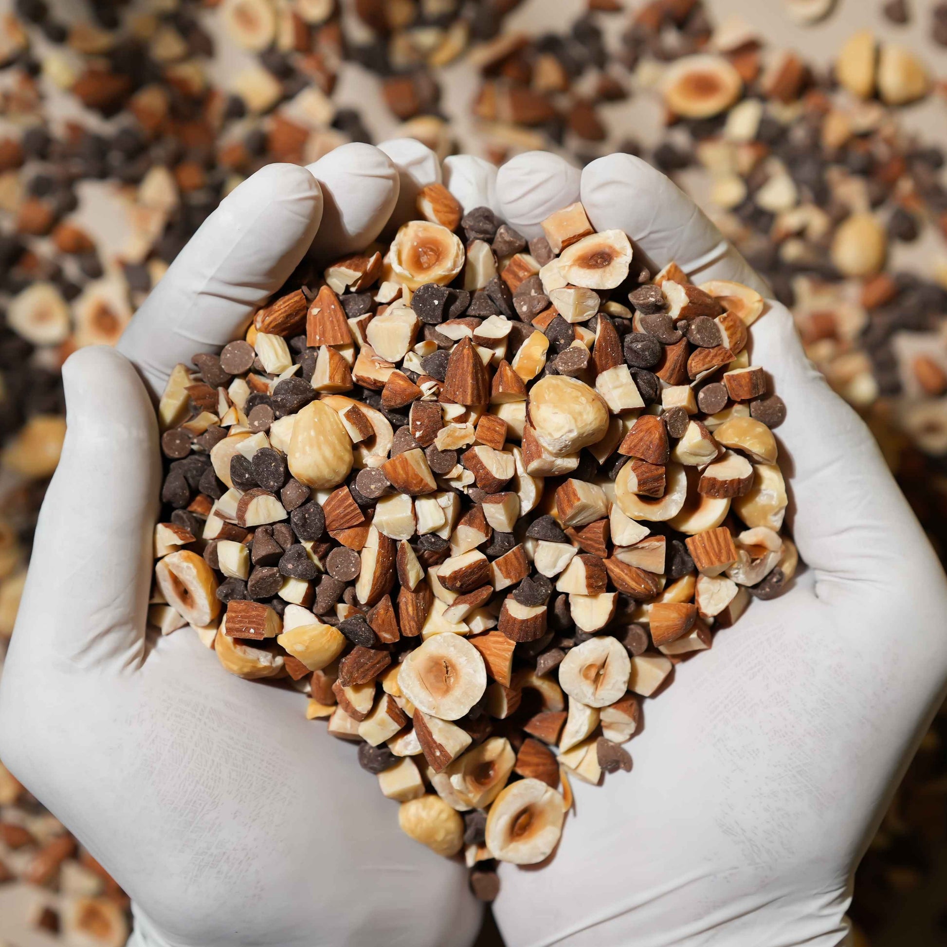 Hazelnut Chocolate Mix 4